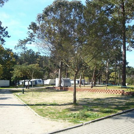 Orbitur Caminha Bungalows - Caravan Park Exterior photo