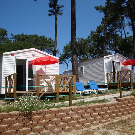 Orbitur Caminha Bungalows - Caravan Park Exterior photo