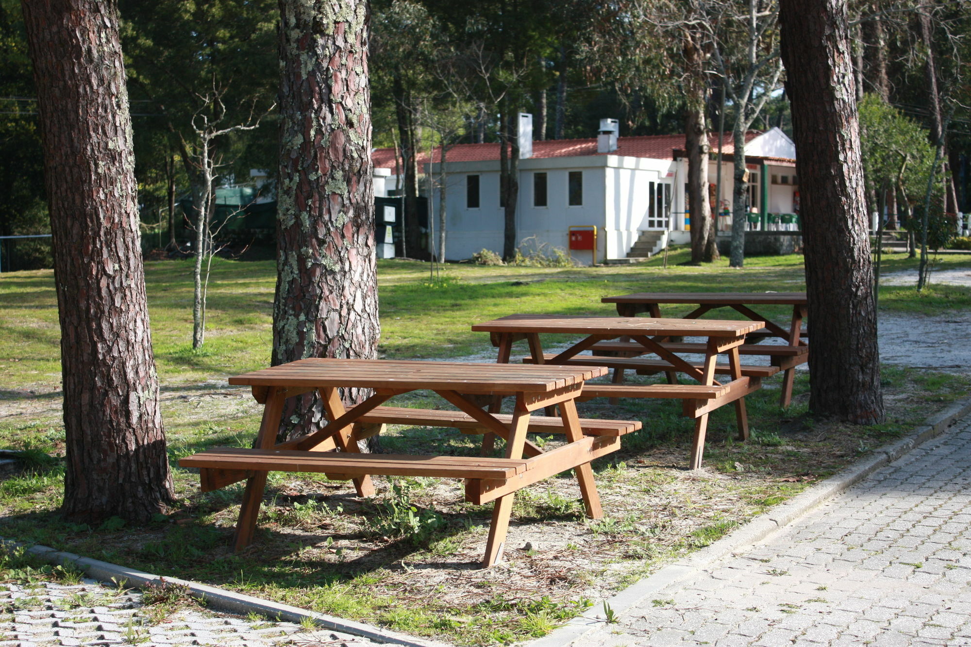 Orbitur Caminha Bungalows - Caravan Park Exterior photo